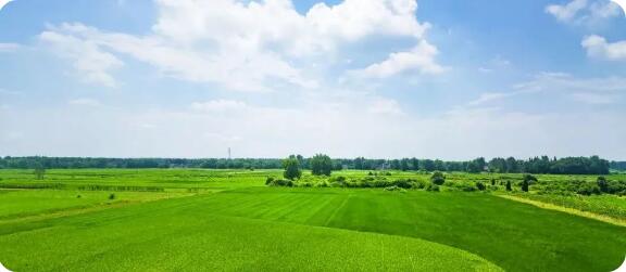如何申請綠色食品標志許可?